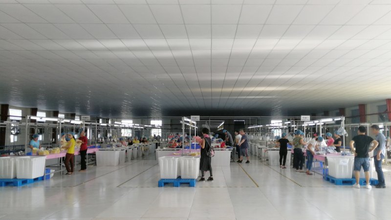 森榮手袋越南工廠正式投產(chǎn)實景拍攝 森榮手袋越南工廠正式投產(chǎn)實景拍攝